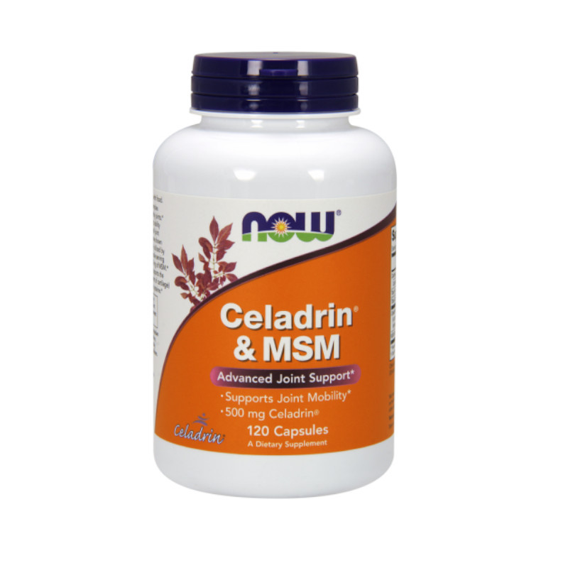 Regeneracja stawów Now Foods Celadrin & MSM 500 mg 120kaps Regeneracja stawów Now Foods Celadrin & MSM 500 mg 120kaps