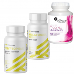 Zestaw Promaker MAGNEZ...