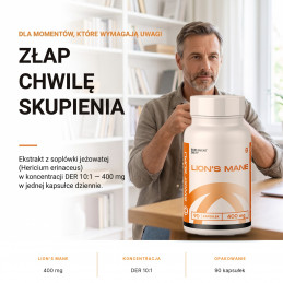Lion's Mane Świat Supli – Złap chwilę skupienia.