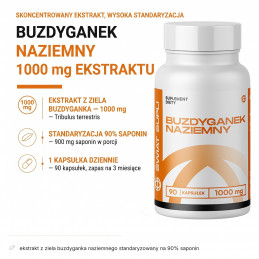Buzdyganek naziemny Świat Supli – infografika składu: ekstrakt z ziela buzdyganka naziemnego standaryzowany na 90% saponin.
