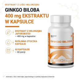 Ginkgo Biloba Świat Supli – infografika składu: ekstrakt z liści miłorzębu japońskiego w jednej kapsułce dziennie.
