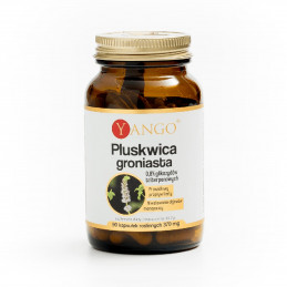 Yango Pluskwica groniasta...