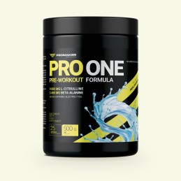 Promaker PRO ONE 500g...