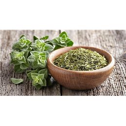 Now Oregano Oil Enteric 90 kaps