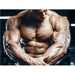 SUPLEMENT POMPUJĄCY Ostrovit Arginine 1000 300caps