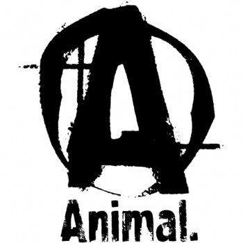 Animal UNIVERSAL